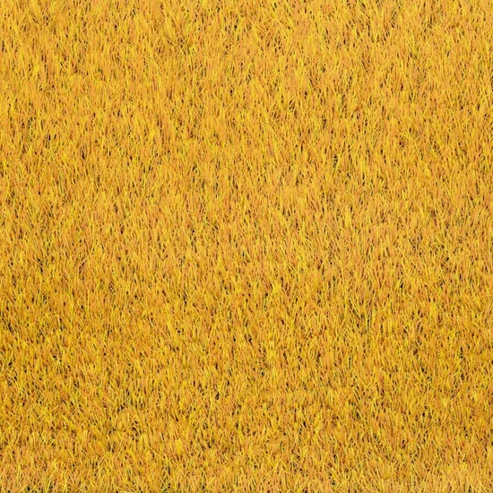 WOC arany műfű 25 mm 133x200 cm