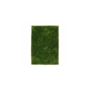 Kép 1/5 - Style 700 zöld shaggy szőnyeg 120x170 cm