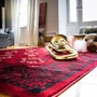 Kép 5/5 - Ariana 881 piros szőnyeg 80x150 cm