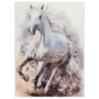 Kép 1/4 - myTorino Kids 235 fehér ló gyerekszőnyeg 80x120 cm